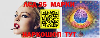 индика Дубна