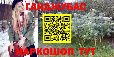 индика Дубна