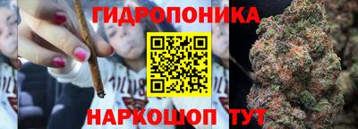 индика Дубна